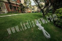 動(dòng)物雕塑FI135